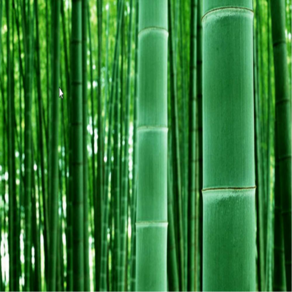 Polštář Cool Breeze Natural Domestic Blue Bamboo Cozy (D170*700-1.2Kg, Bambusová manželka pro vaši horkou letní noc)