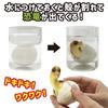 What's in the Dinosaur Egg? Dinosaur Egg Jurassic Cretaceous Grow-Up Figure Dinosaur Secret Toy (Set of 3)