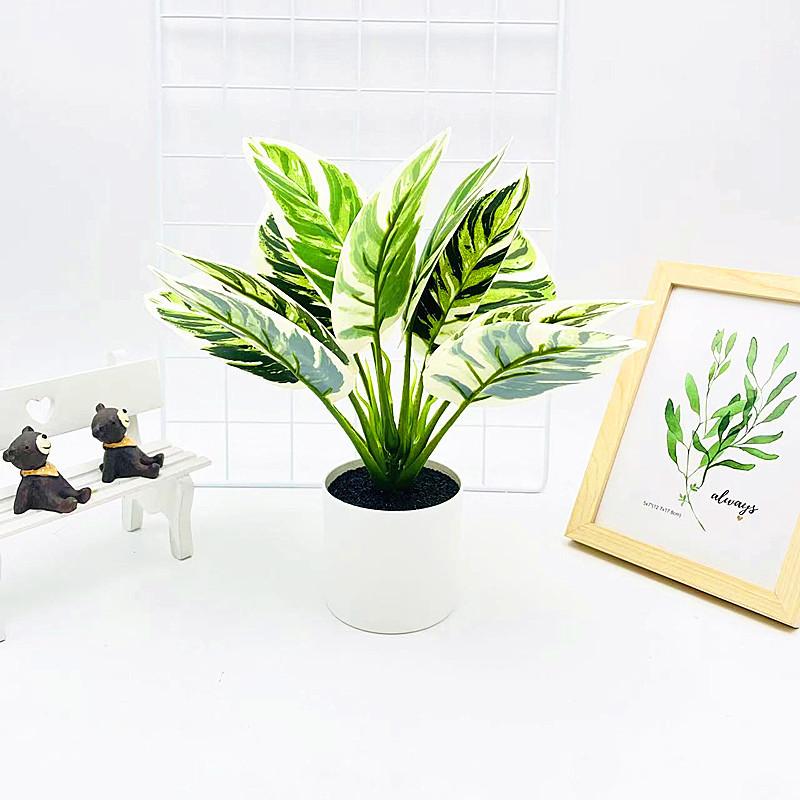 Simulated Epipremnum Aureum And Dasheen Leaves Potted For Home And Events