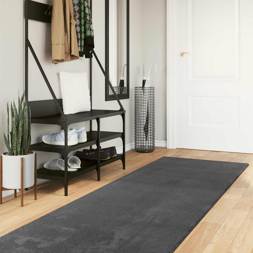 Medium Pile Soft and Washable Rug HUARTE Anthracite
