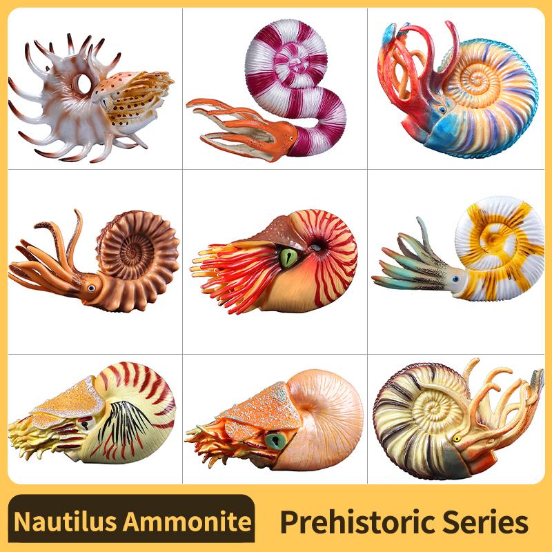 Discover Intime Boys Nautilus Ammonoid Figurine Plastic Model Figure - Enjoyable Instructive Enjoy Toy Designed For Girls And Children Ages 18M+Nautilus