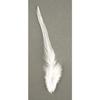 Fashion Feathers - White - 2 G Rayher Fashion Feathers : Matter : Synthetic Feather Colors : White Height : Between 10 and 15 Cm