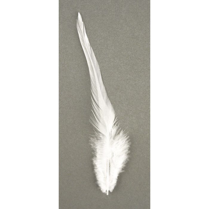 Plumes à la mode - Blanc - 2 g Plumes à la mode Rayher : Matière : Plume synthétique Coloris : Blanc Hauteur : entre 10 et 15 cm