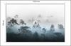 Photomural Forest In Fog Structural Vinyl 152.5x104