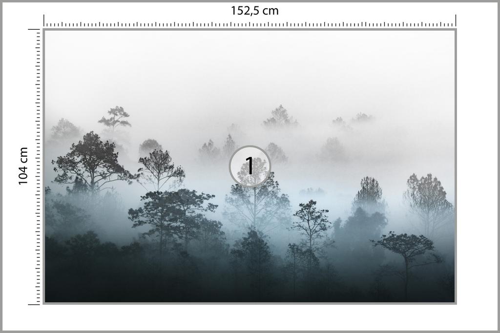 Photomural Forest In Fog Structural Vinyl 152.5x104