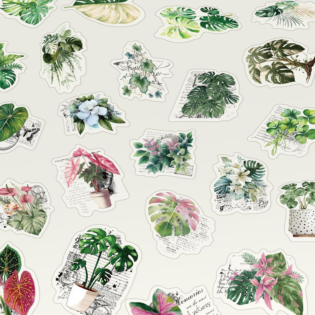 50Pcs/Set Retro Plant Leaves Series 02 PET Clear Stickers Waterproof DIY Fashion Decals Stickers