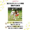 PetGround Dog Toys Sausage Chew Rubber Medium Large Dogs Dog Toys Stress Relief Teeth Brushing Dog Toys Unbreakable Durable