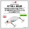 Daiwa Ajing Mebaring Moonlight Beauty Gengoro Clear Z36F Przynęta
