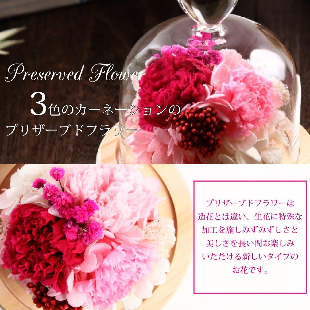 Teatsite Preserved Flower Arrangement, Pre-Wrapped, Heart-Shaped Glass Pot, 3 Flowers (Pink Carnations, Bear Towel Included)
