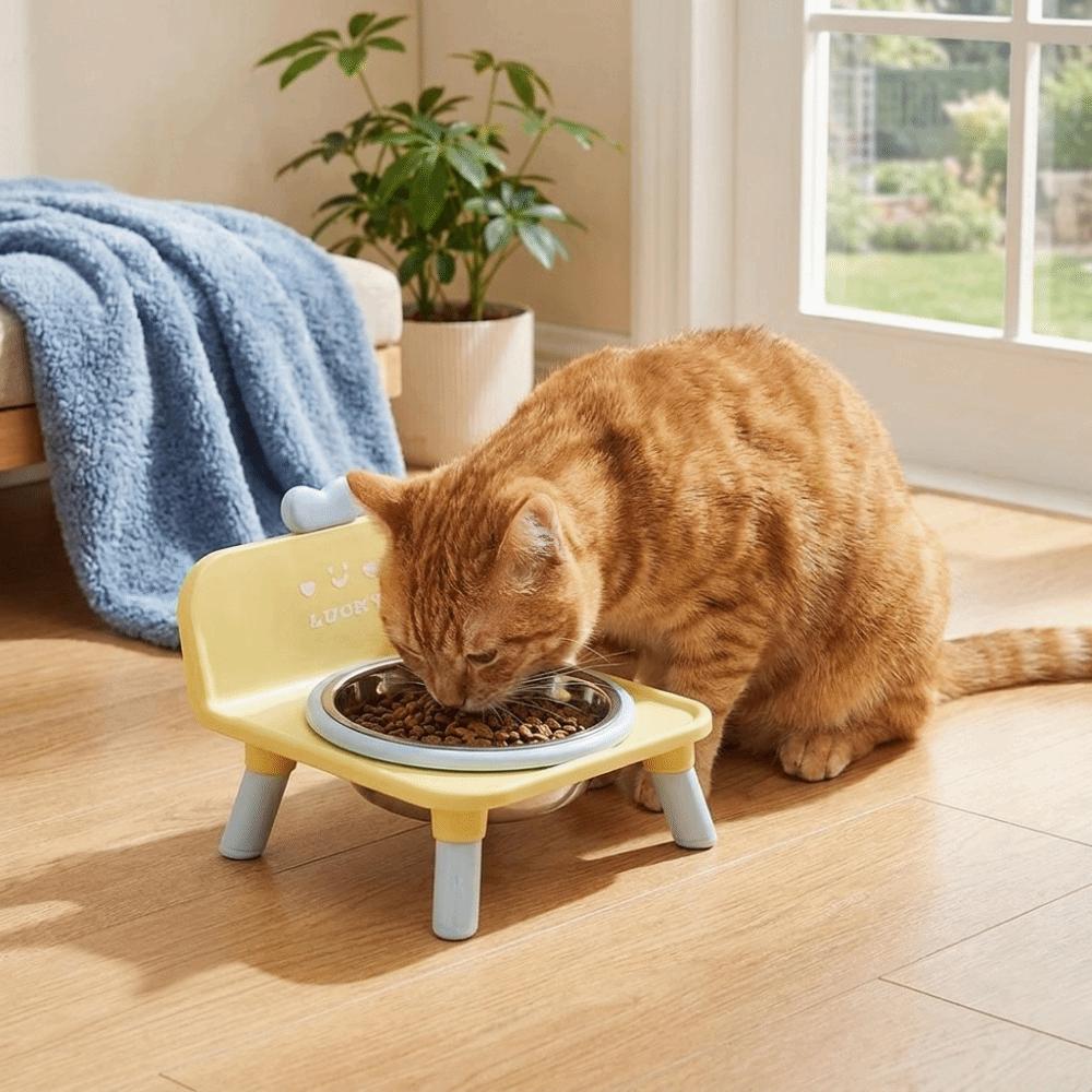 Hohe Hunde-Wasserschale Anti-Rutsch-Futter- und Wasserstation für Haustiere Erhöhter Futterspender für Haustiere Innenbereich