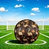 1pc Wise Owl Library Theme Soccer Ball Football, Size 5, Lightweight PVC, Outdoor Training Soccer Ball,Sports Gift t61445