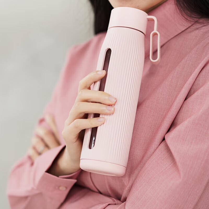 LocknLock Portable Glass Water Bottle with Tea Infuser