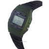 Casio Classic Daily Alarm F-91WM-3A F91WM-3A Men's Watch