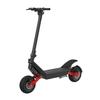 Alnsoor X10 Mountian All-Terrain Folding EScooter For Adult 48V/18.2Ah Battery 1000W Dual Motor 11 Inch Tires City Outdoor Electic Bicycle