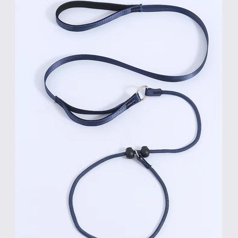 Dog Leash Traction Rope for Small to Medium Breeds