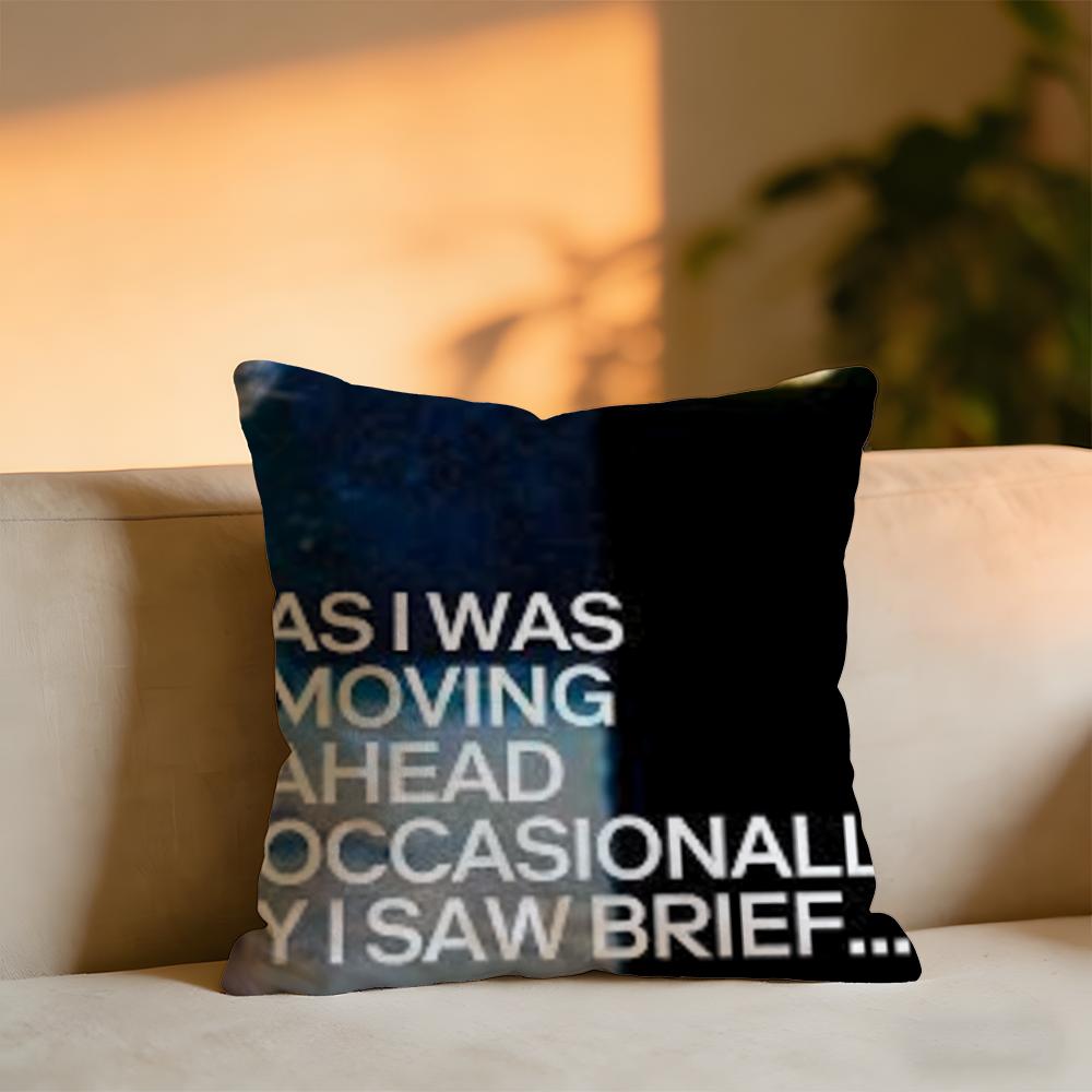 As I Was Moving Ahead Occasionally I Saw Brief Glimpses Of Beauty Cushion Velvet Throw PillowSoft Warm Cushion For Sofa Bed