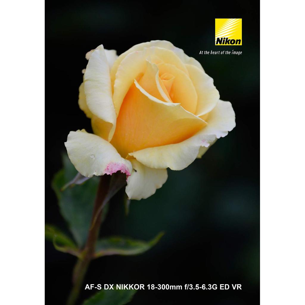 Nikon AF-S DX NIKKOR 18-300mm f/3.5-6.3G ED VR High-Power Zoom Lens for DX Format Cameras