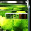 3D LCD Digitales Aquarium Thermometer Fischbecken Messgerät Genau Langlebig Temperatur Fisch Schildkröte Temperaturmesser Dekoration