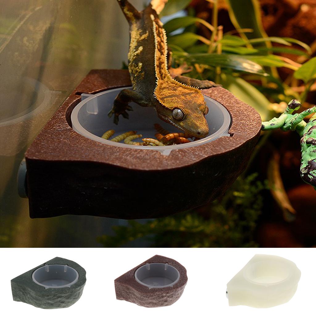 Magnetic Feeding Ledge Plastic Gecko Feeder Ledge Food Dish Bowl Feeder for Crested Gecko Accessories Terrarium