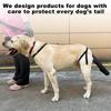 Adjustable Dog Tail Protector for Injury, Hair Loss, and Anti-Lick Grooming Treatment