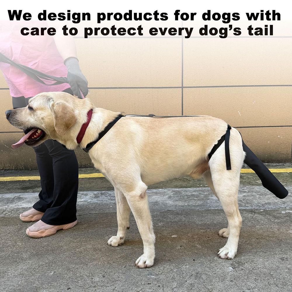 Adjustable Dog Tail Protector for Injury, Hair Loss, and Anti-Lick Grooming Treatment