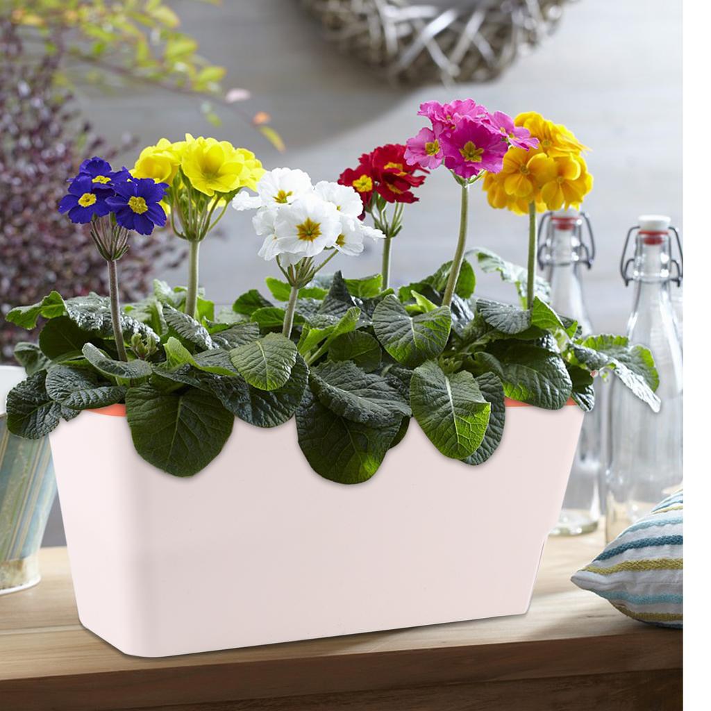 Beautywen 6 Pack Windowsill Herb Planter Box Indoor Windowsill Herb Planter Box Indoor Set, 10.5 Inch Self Watering Planter Pots
