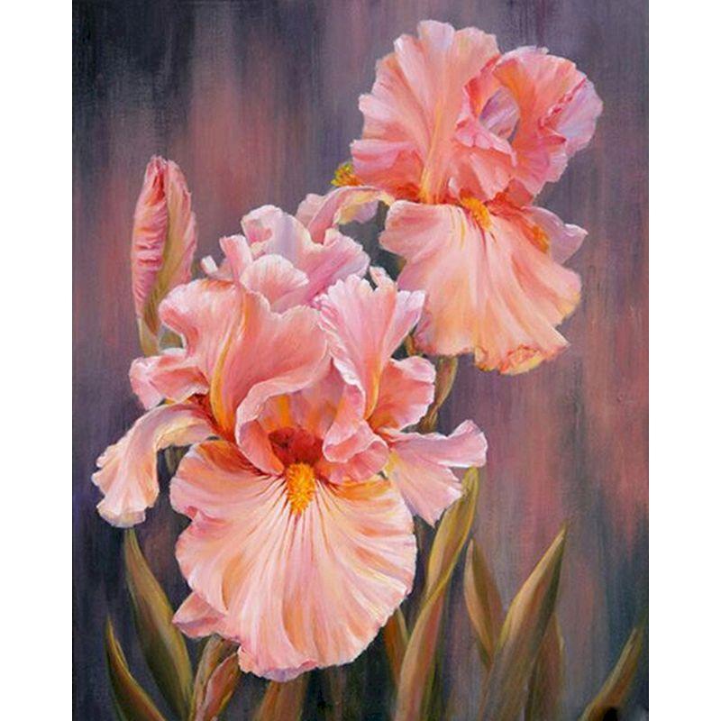 

GATYZTORY 40x50cm Frame Painting By Numbers For Adults Color Flower Oil Picture HandPainted Diy On Canvas Home Wall Art 20x30cm no frame