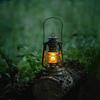 Thous Winds Feuerhand Lantern Shade - Replacement Lampshade for Feuerhand Lanterns, Dietz 78/Dietz 76 (lamp Not Included).