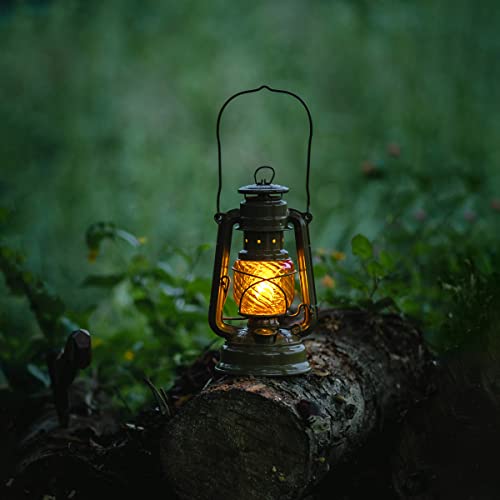 Thous Winds Feuerhand Lantern Shade - Replacement Lampshade for Feuerhand Lanterns, Dietz 78/Dietz 76 (lamp Not Included).