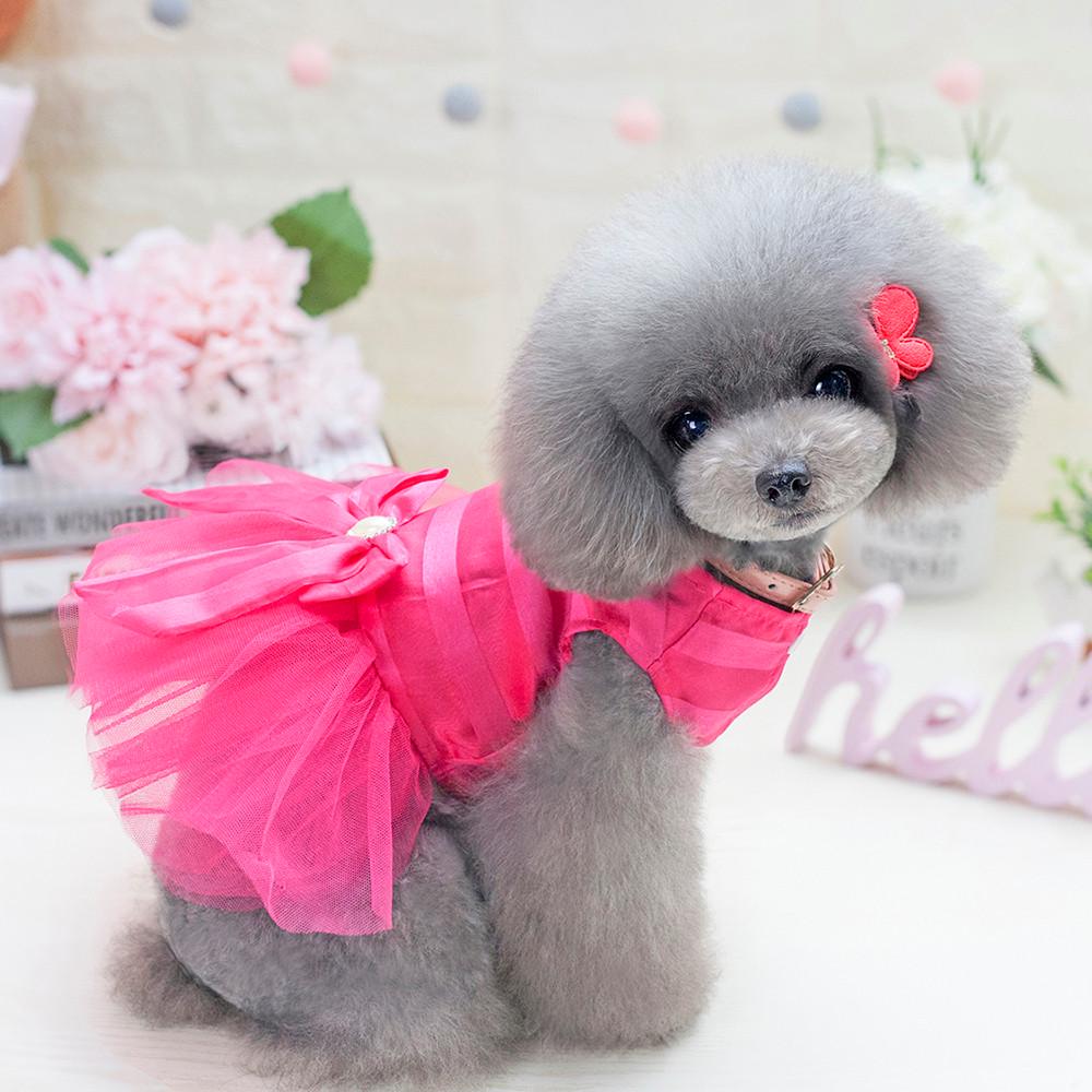 Small Dog Dress Fashion Pet Dog Bubble Dress Dog Cute Summer Skirt