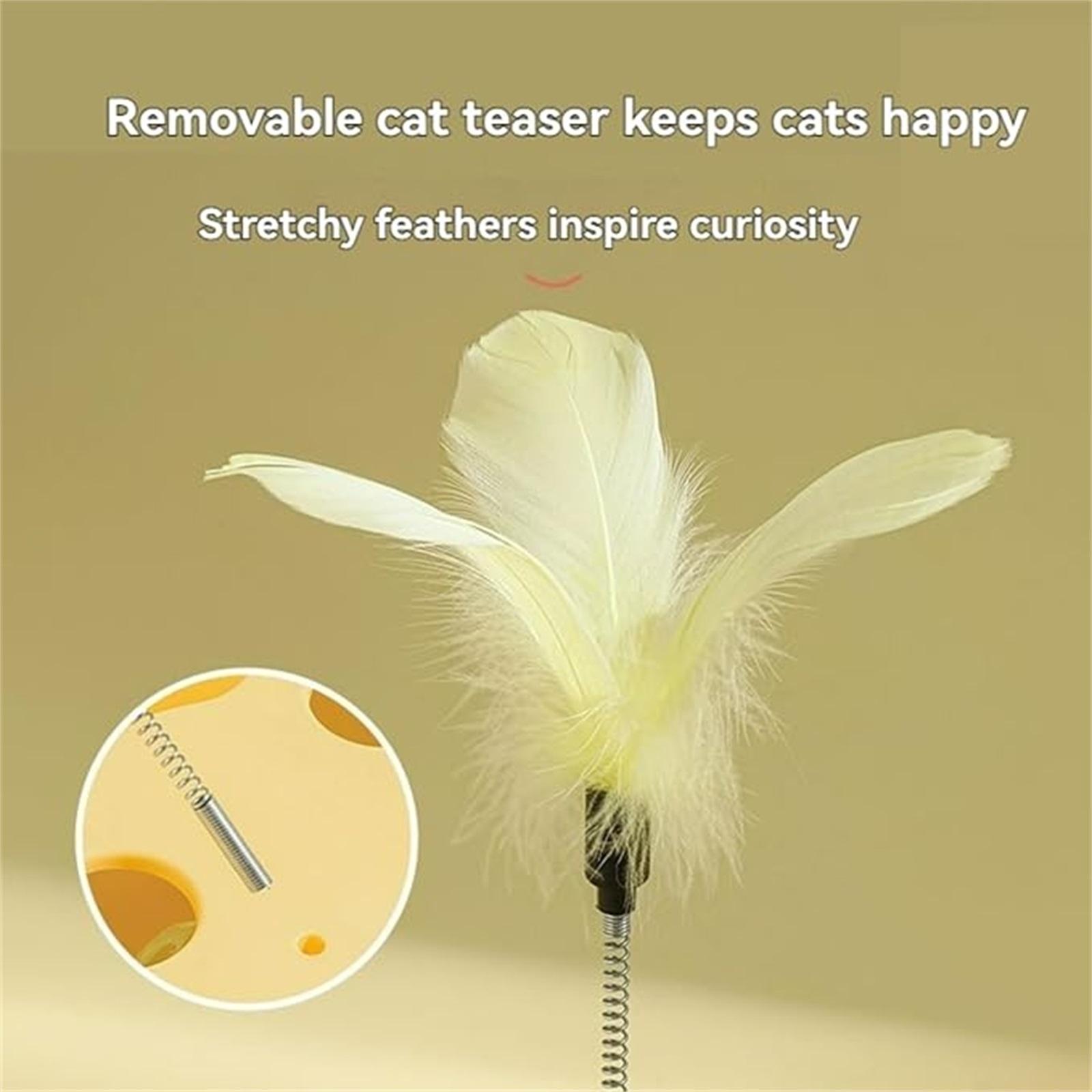 

Puzzle Toy Play Box & Play With Feather Wand Squeaky Balls Interactive Pet Toy Gift Choices For Indoor S () one size