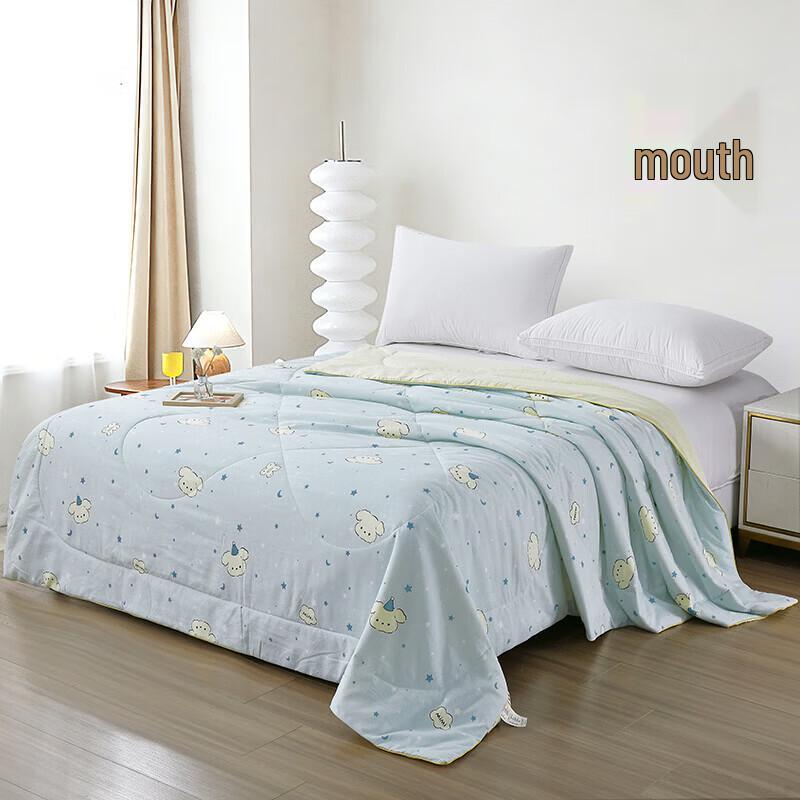Yalu Super Soft Washable Summer Fiber Quilt