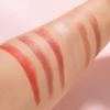 Matte Lipstick Long Lasting Waterproof Velvet Lipstick Capsule Lipstick Korean Makeup Nude Red Lip Stick for Women