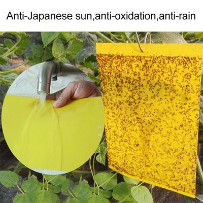 Pachet 100 Plăci Lipicioase pentru Insecte Prinderea Afidelor Insecticide Capcană Lipicioasă Față Dublă pentru Musculițe pentru Insecte Zburătoare de Plante Musculițe de Ciuperci