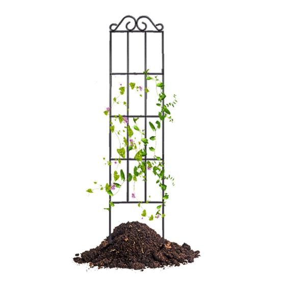 Metall Hageespalier Klatreplanter Ramme Espalier Dekorativ Plantestøtteramme for Klematis Roser Utendørs Innendørs Bruk