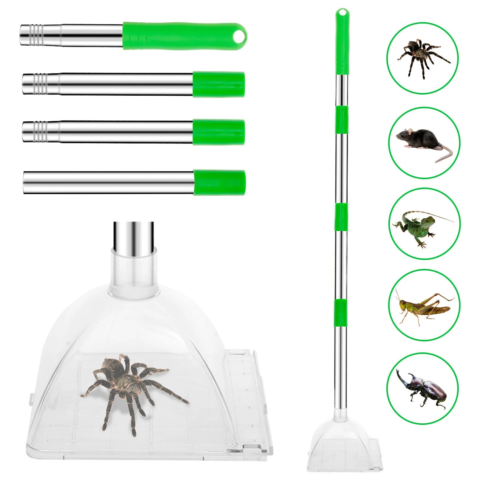 Long Handle Spider Grabber Pest Catcher Net Cover For Indoor Outdoor Stink Bug Moth Cockroach Centipedes Scorpions Catching Tool verde