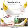 Children's Static Wild Animal Bird and Parrot Figure Set