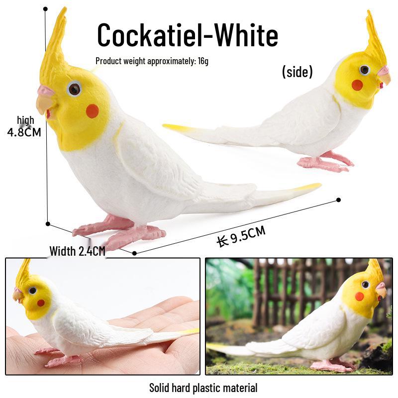 Children's Static Wild Animal Bird and Parrot Figure Set