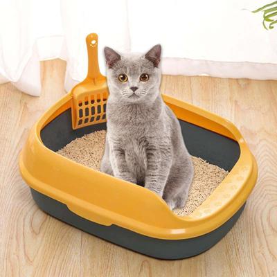 Kedi – Kedi bakım ürünleri