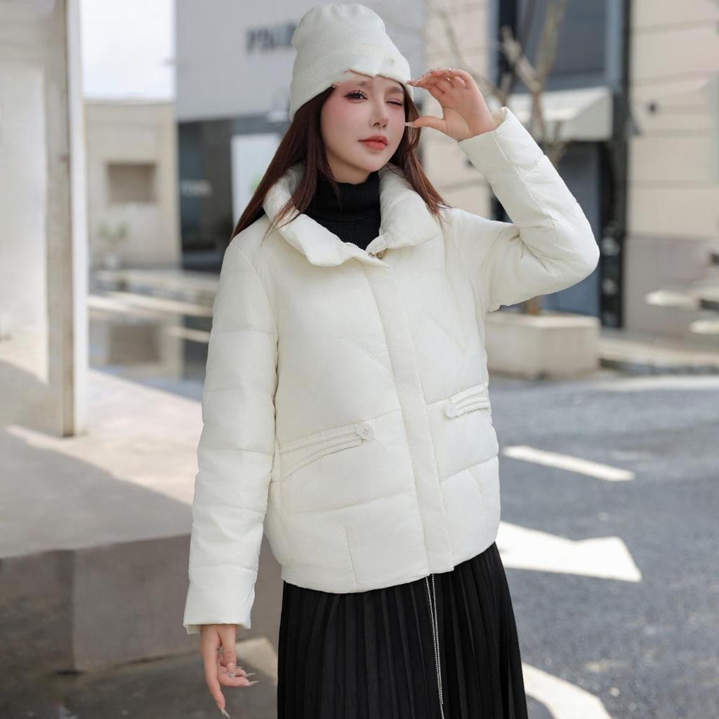 Daunenjacke Damen Kurzstil 2024 Neu Winter Stehkragen Warm Weiße Entendaunen