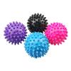 LongChan Spiky Fascia Massage Ball Set