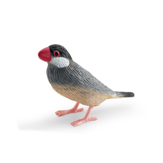 Realistische Vogel Figur Kuckuck Mannequin Kolibri Rotkehlchen Modell Miniatur Figur Kinder