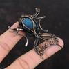 Pendentif Labradorite Pendentif Enveloppé de Fil de Cuivre Bijou Fait Main Pendentif Pierre Gemme Naturelle Bijou Labradorite Cadeau Pour Elle Pendentif Tout Neuf