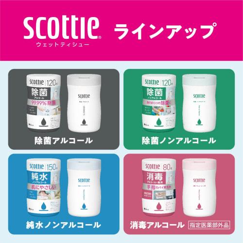 Non-alcoholic Disinfectant Wet Wipes, Refill Pack of 100 Wipes (3 Packs)