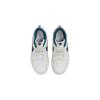 Nike Court Borough Collection Low 2 Se Comfortable Low top Skateboard Shoes White Blue Kids' DQ5980-100
