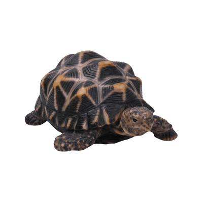 Woobia Star Tortoise (Medium) 13.5 X 10 X 6.5 Cm Doll Figurine Ornament Animal Garden Decoration Turtle H14010