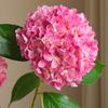 Živé růžové umělé květiny - 3 ks realistická kytice hortenzií se zelenými stonky - pro domácí, svatební, kancelářskou a sváteční dekoraci