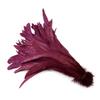100Pcs 25-40Cm /10-16Inch Rooster Tail Feathers Bulk Natural Plumes Large Pheasant Cock Clothing Jewelry Accessories Party Decor