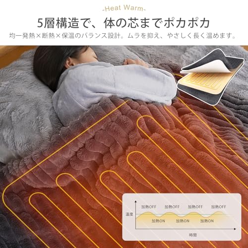 DGV Electric Blanket, Soft and Melting Rabbit Fur Look, Can Be Used As a Throw or Blanket, 25 Temperature Settings, 12-Hour Automatic Shut-Off Timer,