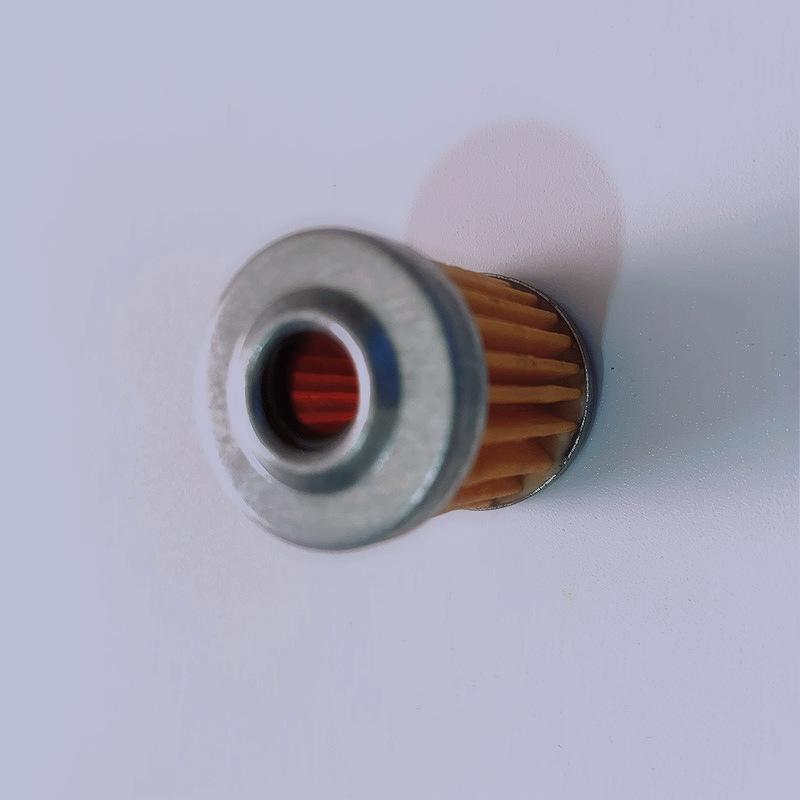 QS125/GS125/GT125 Junlong Gasoline Filter Element